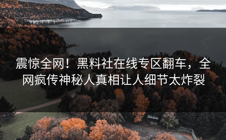 震惊全网！黑料社在线专区翻车，全网疯传神秘人真相让人细节太炸裂