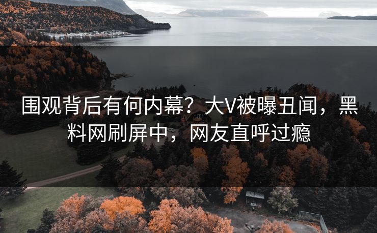 围观背后有何内幕？大V被曝丑闻，黑料网刷屏中，网友直呼过瘾