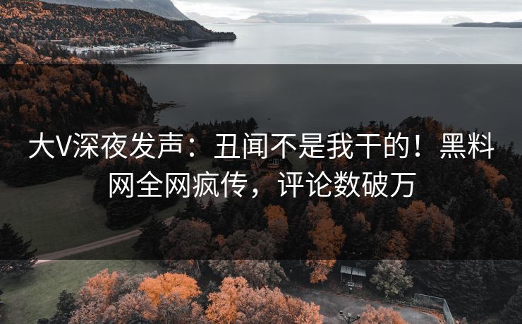 大V深夜发声：丑闻不是我干的！黑料网全网疯传，评论数破万
