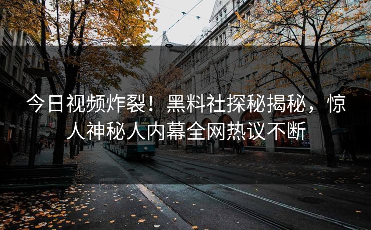 今日视频炸裂！黑料社探秘揭秘，惊人神秘人内幕全网热议不断