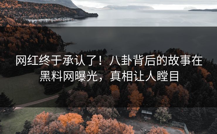 网红终于承认了！八卦背后的故事在黑料网曝光，真相让人瞠目